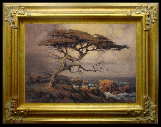 framed  unknow artist Monterey Cypress, Ta125